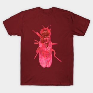 Eye Gnat T-Shirt